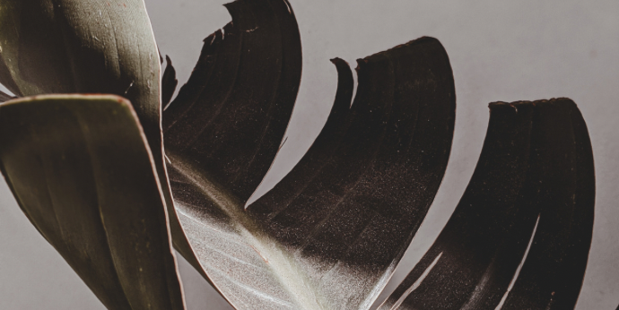 【海外限定】インテリアトレイ ブラック ホーストレイ スクエア 楽天市場】脚付き スクエアウッドトレイ【ART OF BLACK】 : ART OF BLACK