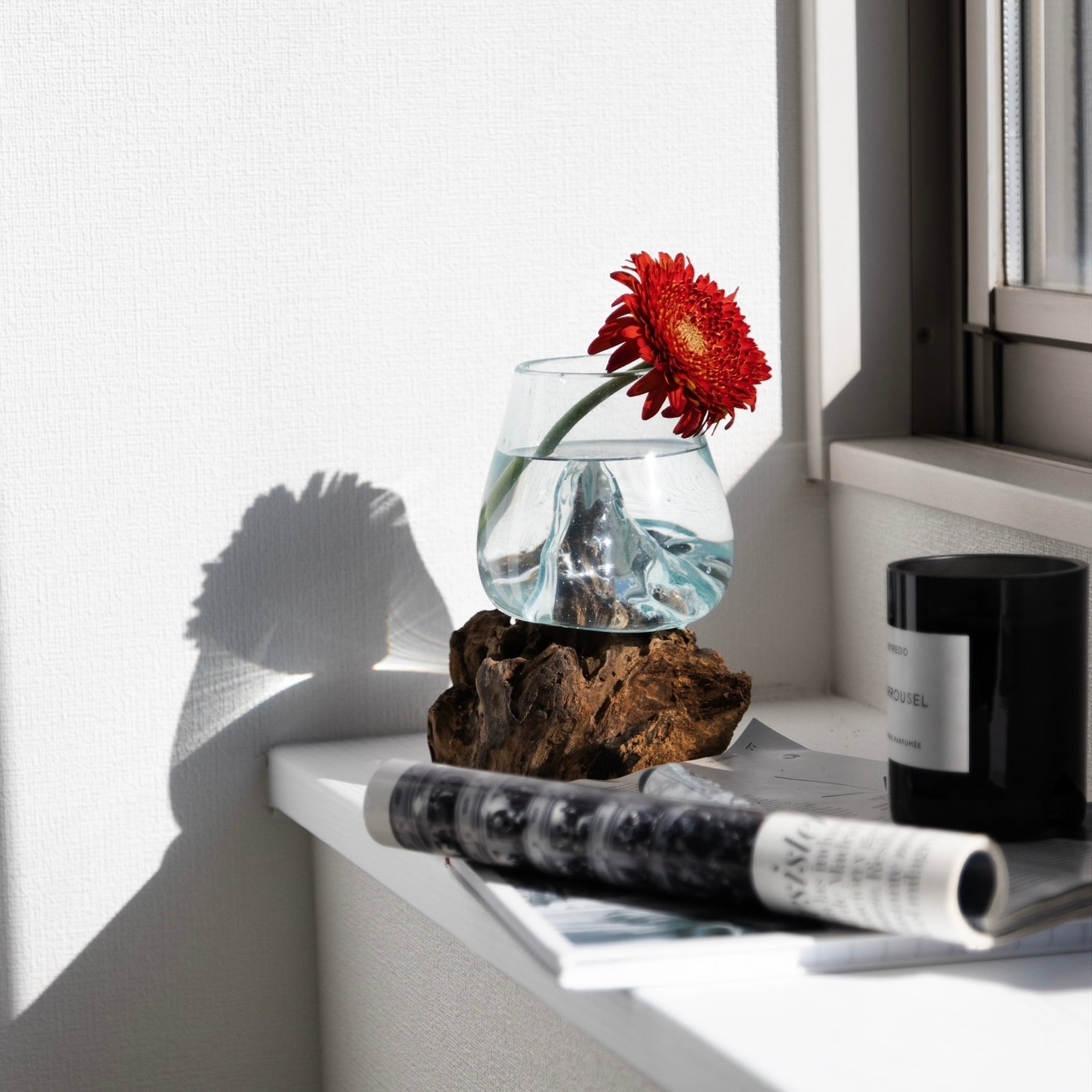 ドリフトウッド スモール