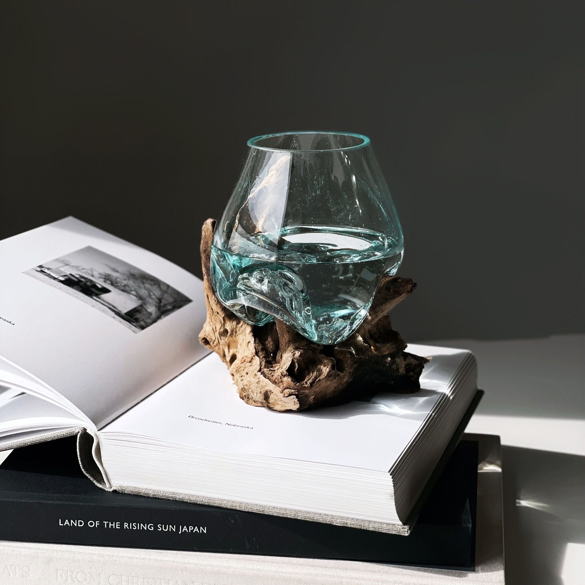 ドリフトウッド スモール