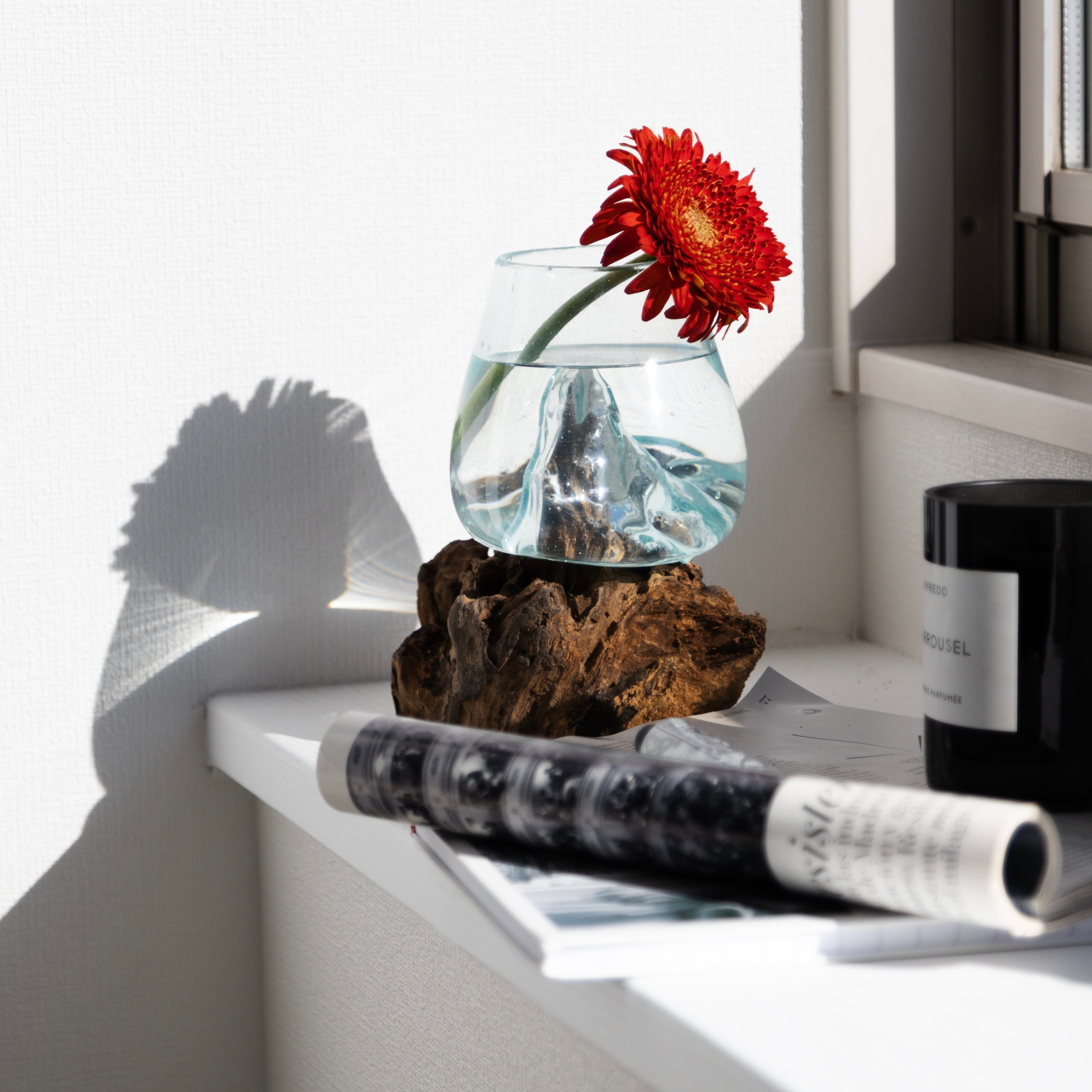 ドリフトウッド スモール