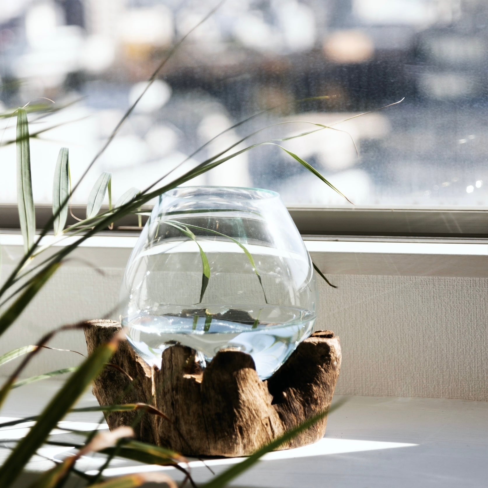 ドリフトウッド ミディアム