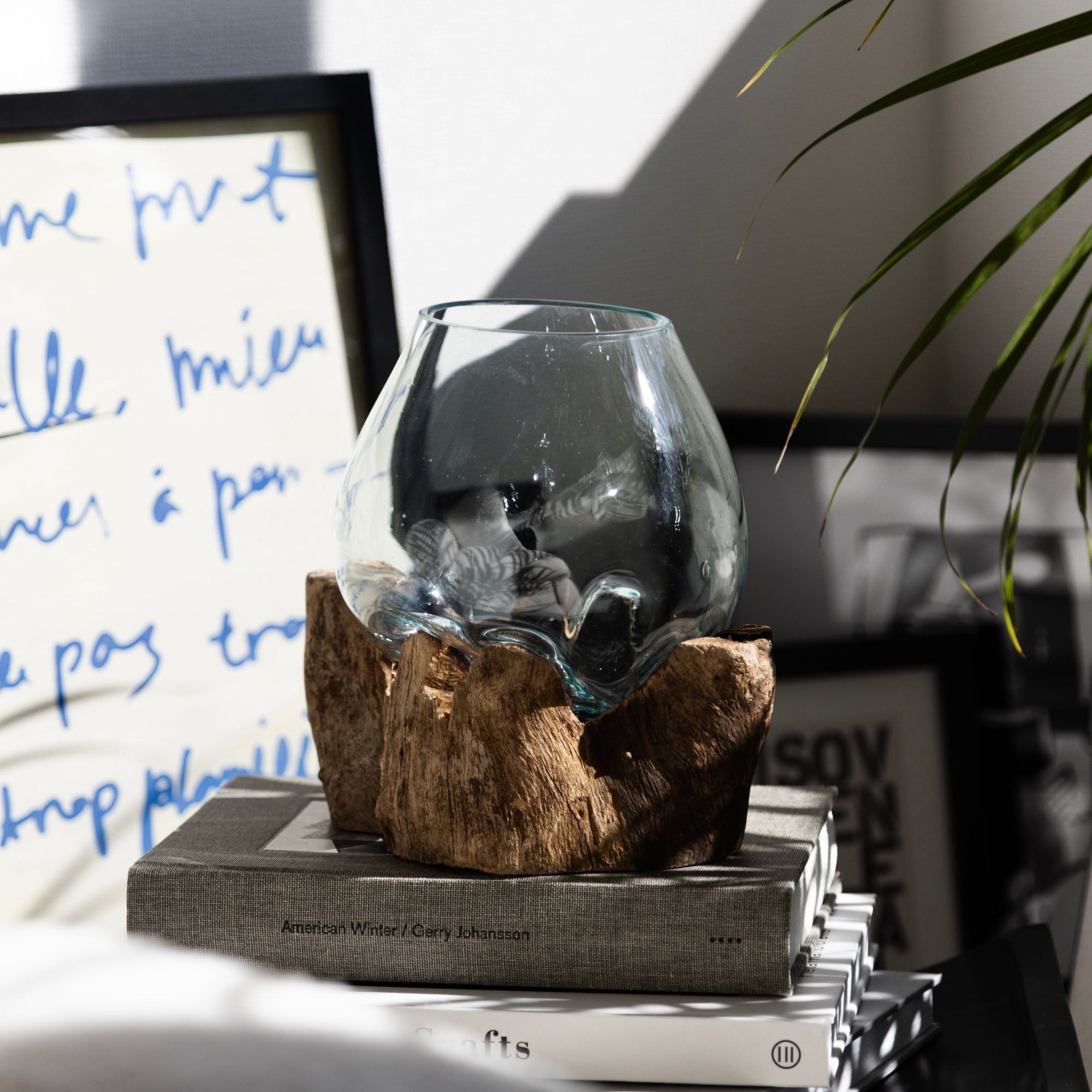 ドリフトウッド ミディアム