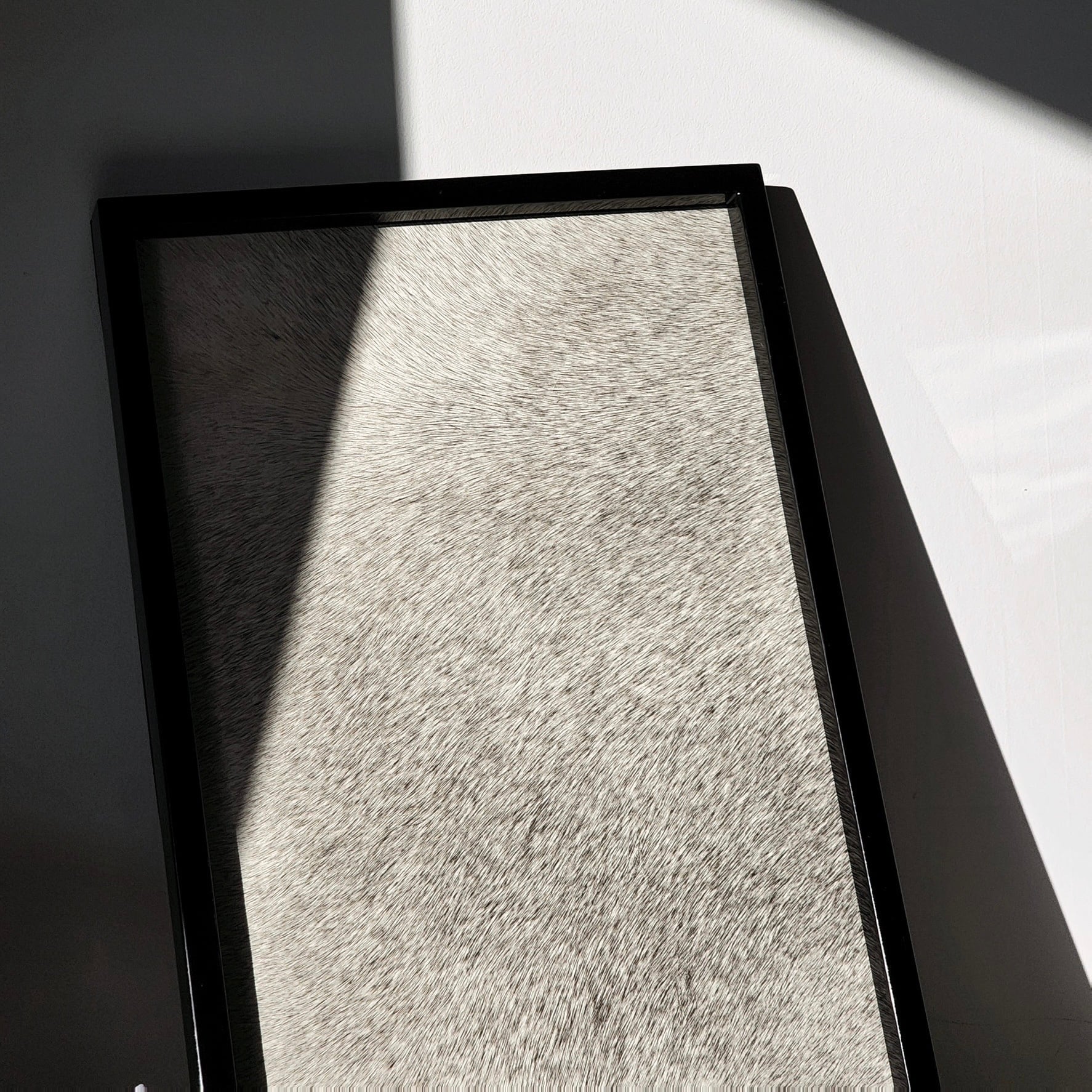 ホーストレイ ジェントルカラー ラージ