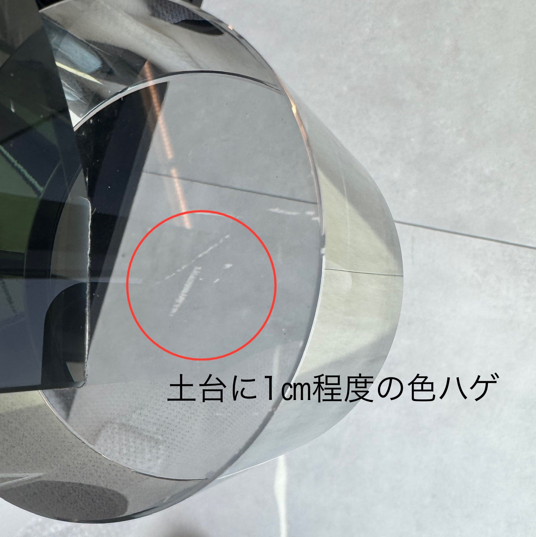 【アウトレット10%OFF】セミテェルキオオブジェ