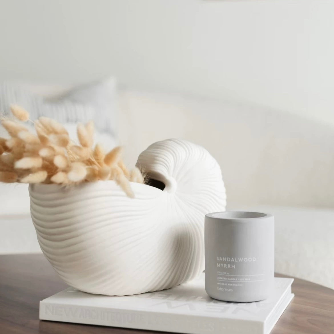 シェルラインベース