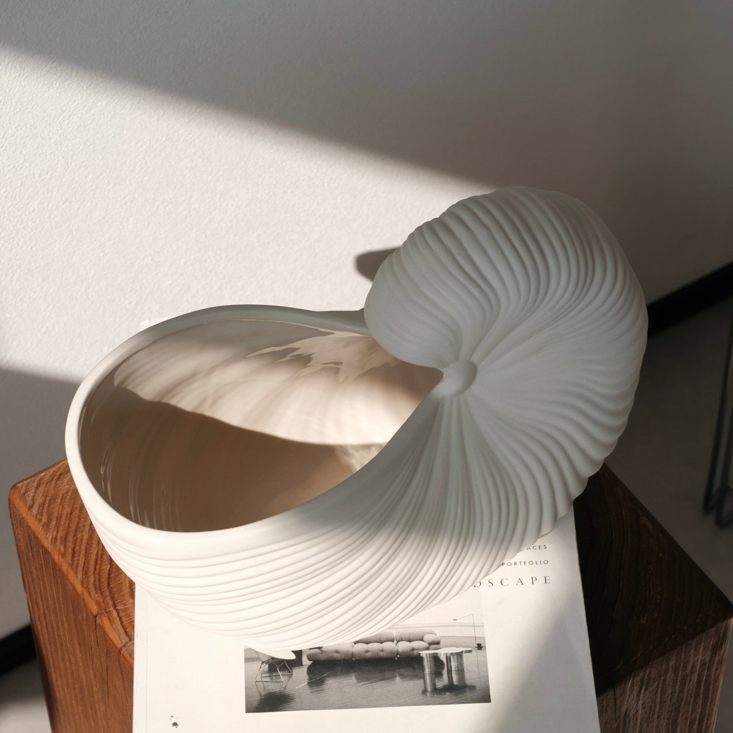 シェルラインベース