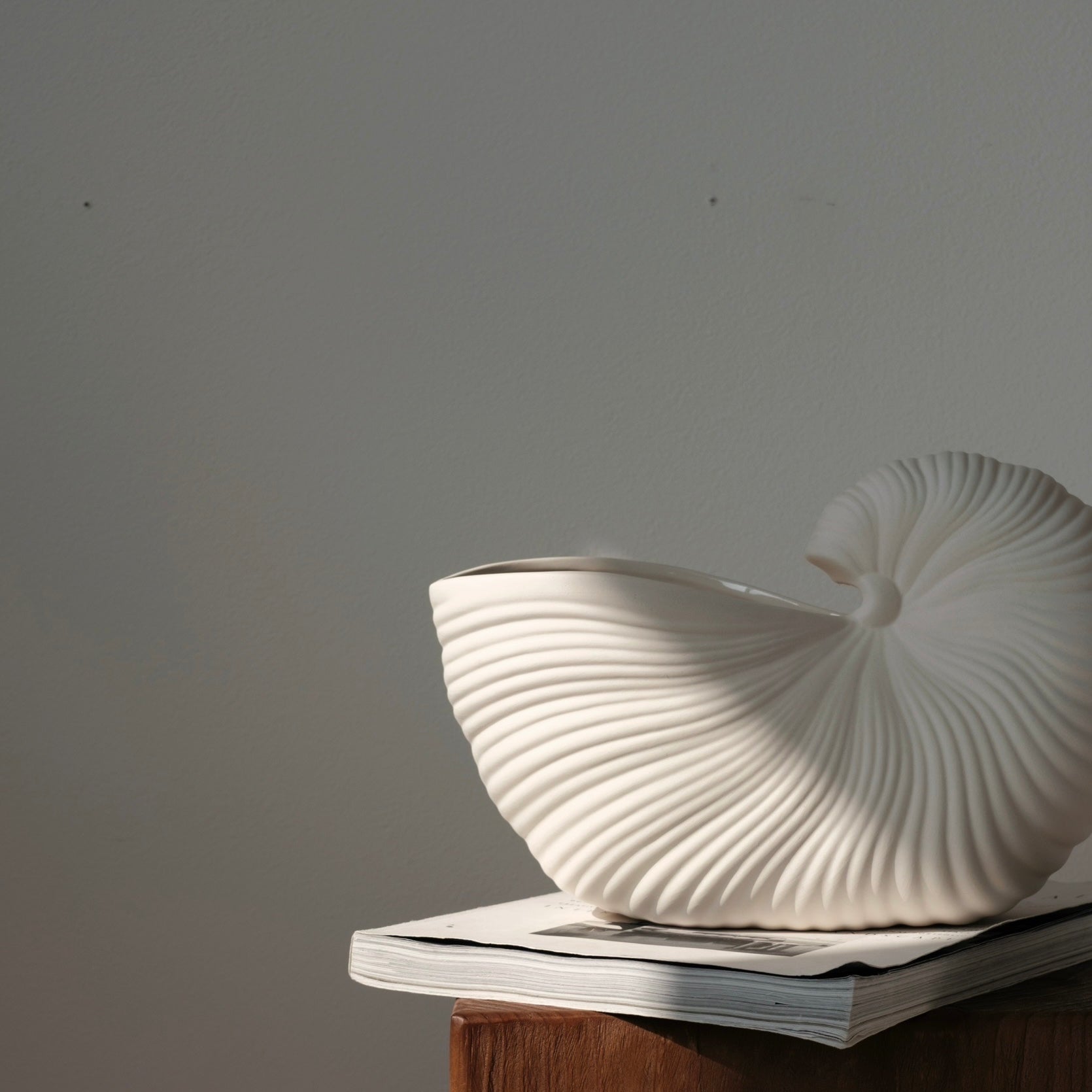 シェルラインベース