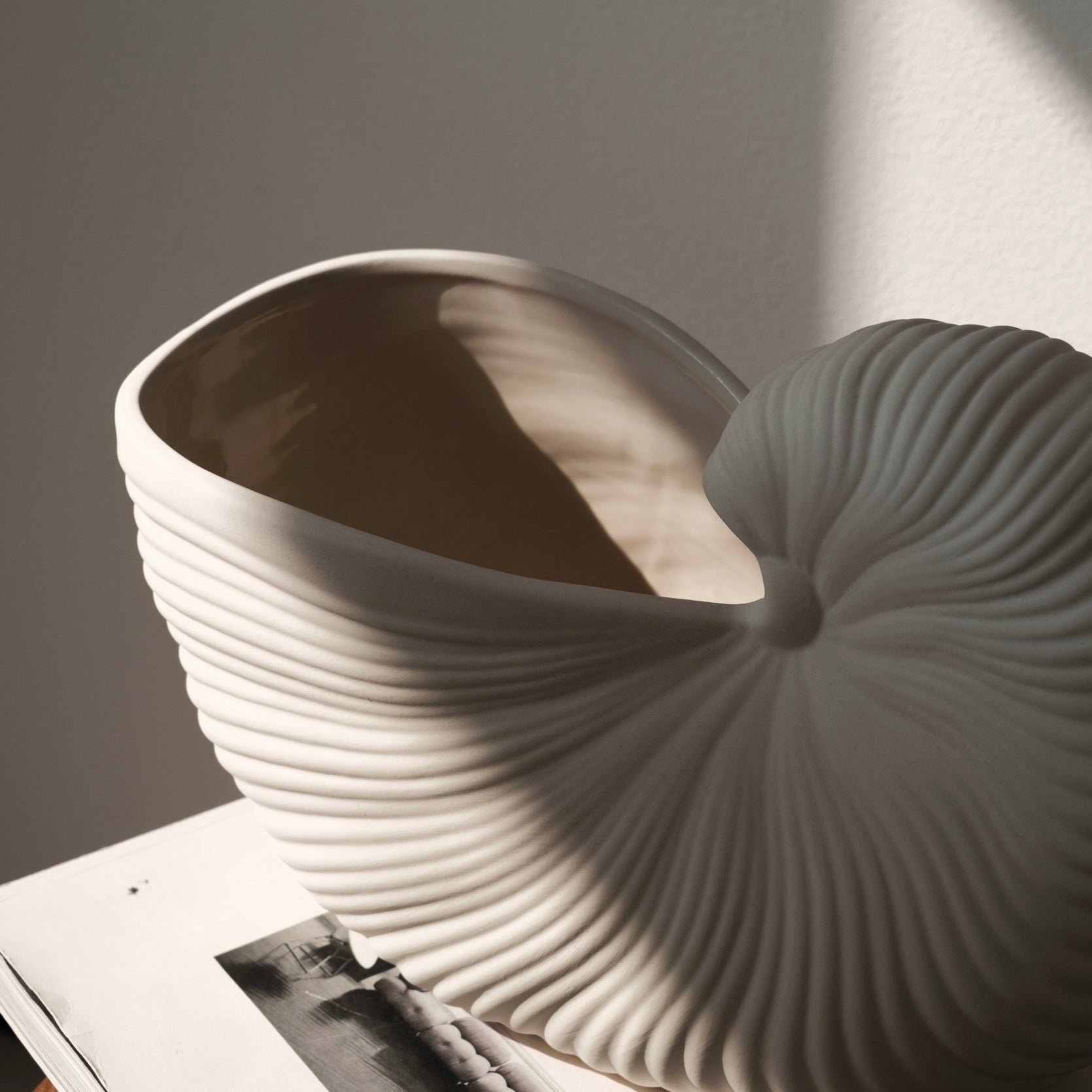 シェルラインベース