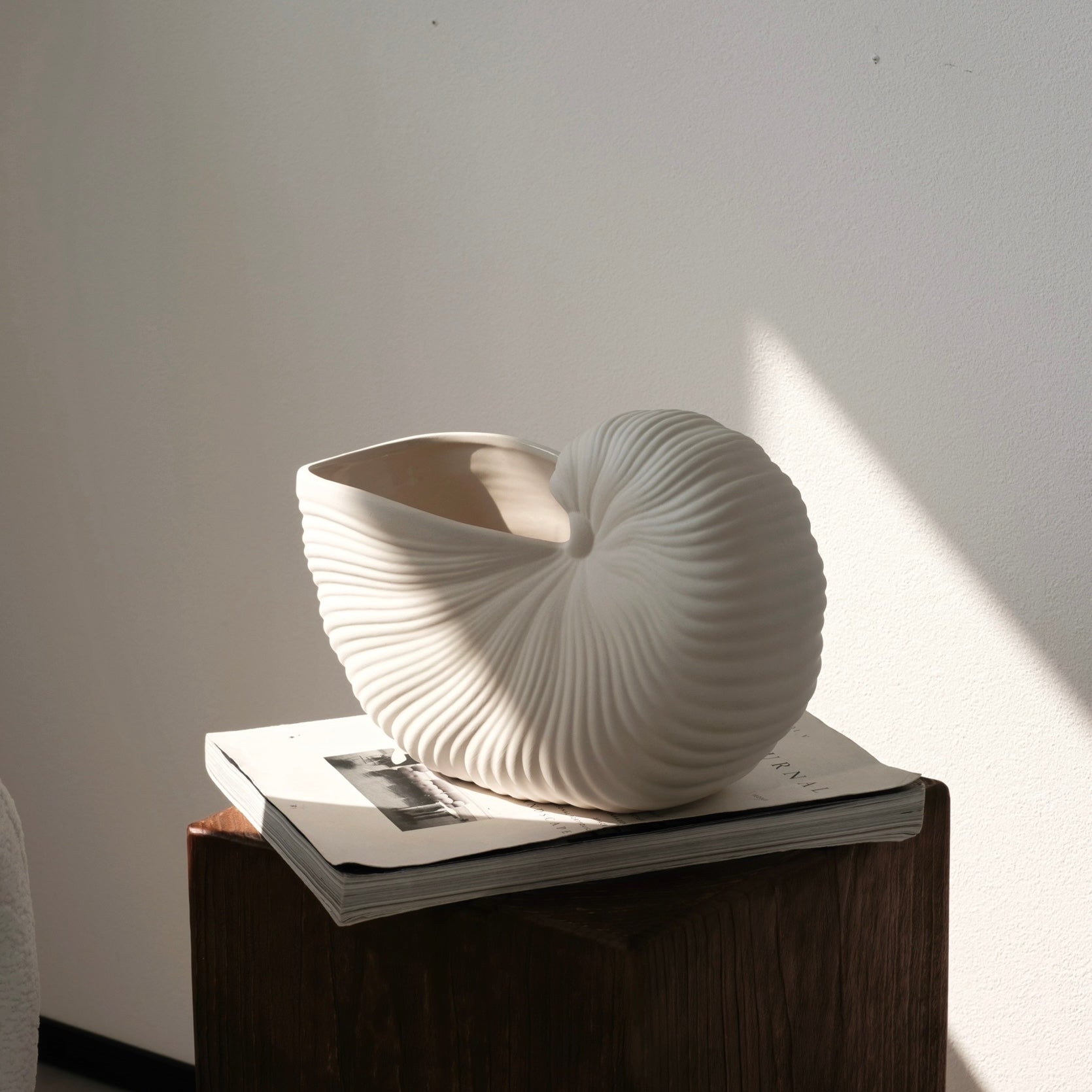 シェルラインベース