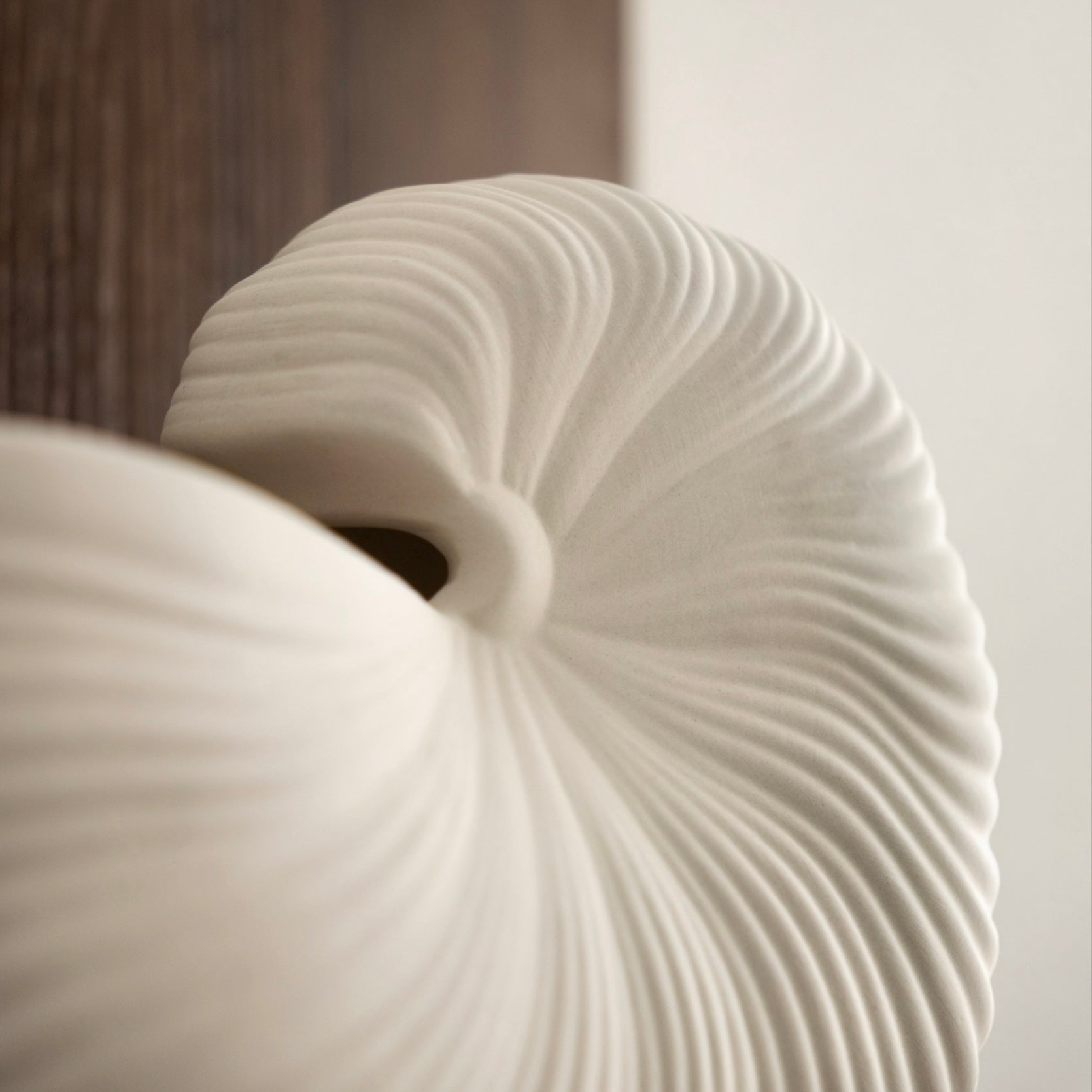 シェルラインベース